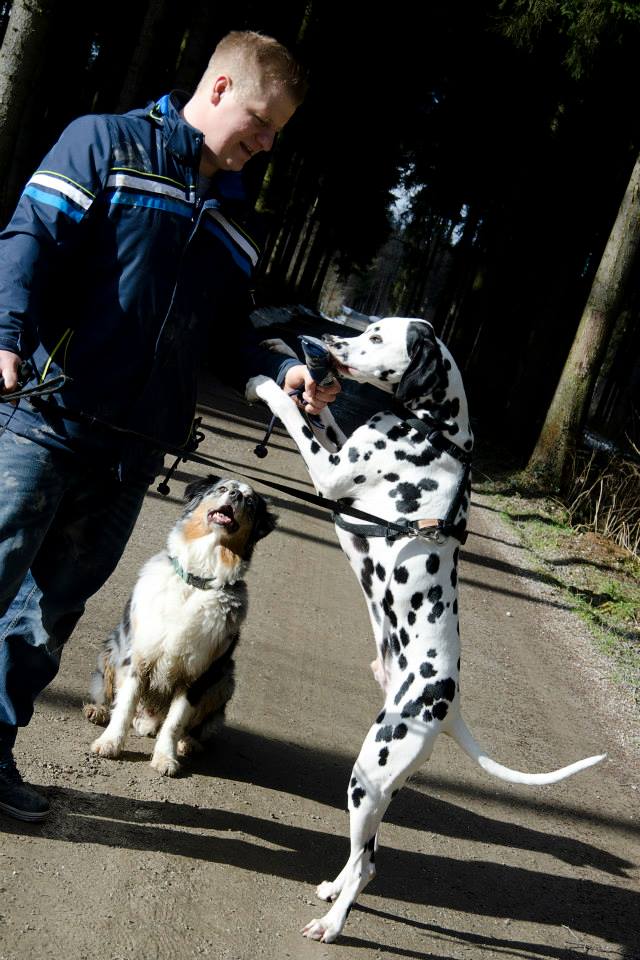 Ganzheitlicher Hundetrainer mit Hund